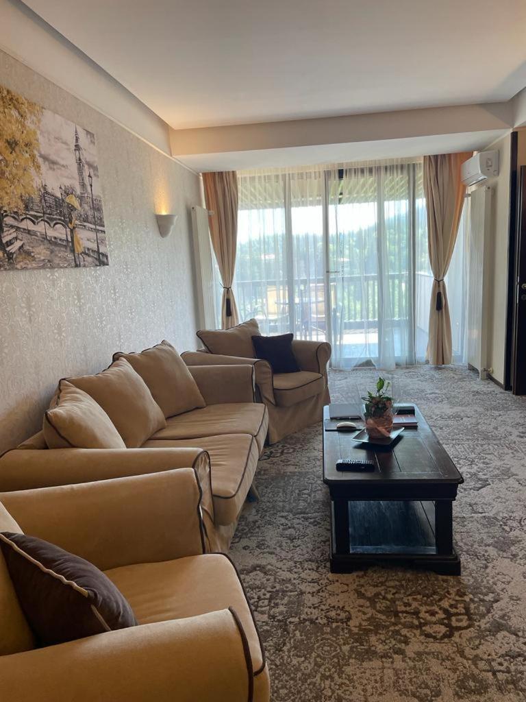 Apartament Executive Vedere Munte Alpin Resort Poiana Brasov Ngoại thất bức ảnh