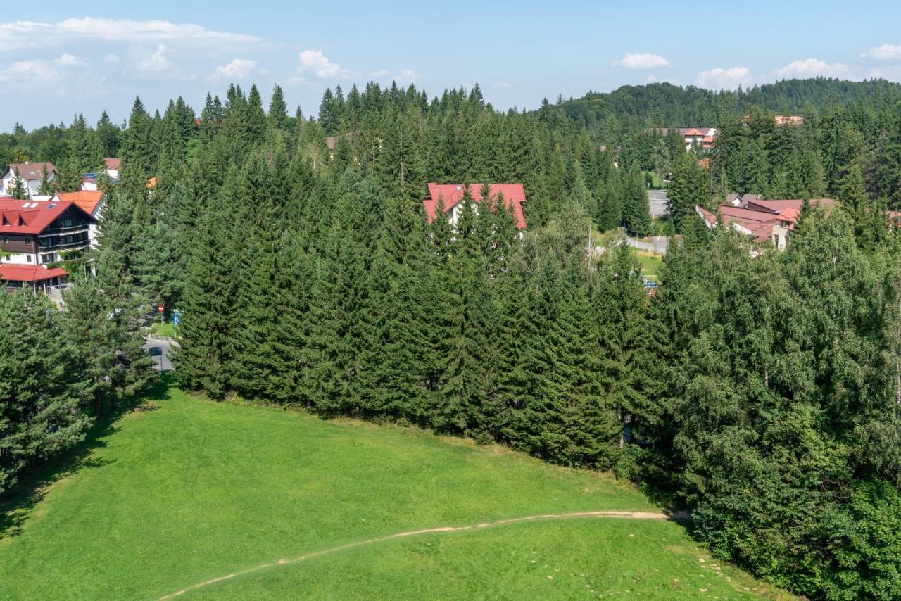 Apartament Executive Vedere Munte Alpin Resort Poiana Brasov Ngoại thất bức ảnh